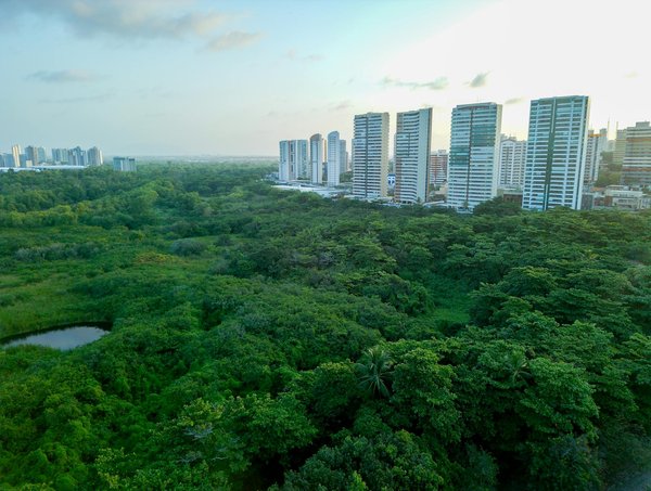 Les documentaires jeunesse : un voyage captivant vers le savoir