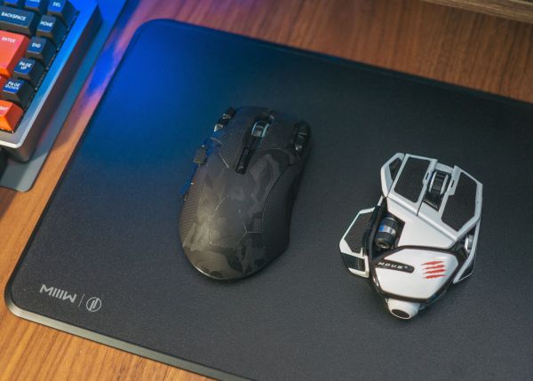 Trackball ou souris : quelle option pour votre expérience ?